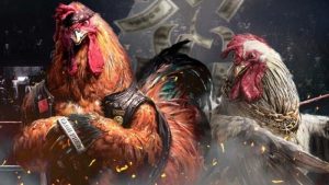 Cách tham gia và luật chơi đá gà cựa sắt